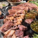 목구멍 동암점 이미지