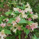 자기의 욕망에 집중하라 이미지