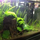 물속풍경수족관 이미지