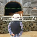돌담목장 | 제주 승마체험 카페 아이랑 밭디 목장 내돈내산