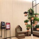 라운지펫 이미지