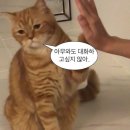 투다리미장점 | 2022 여름(2)