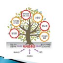트리짐트리태닝