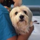 지인동물약품 이미지