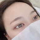 리보떼