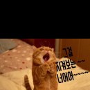 2026년 5월 9일 토요일 7시 동대문역 9번출구 근처(전태일 다리앞) 이미지