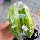 여주월드푸드