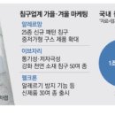 알레르망대전 이미지