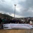 황새둥지 이미지