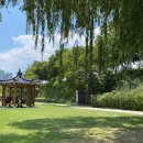 신천둔치 테니스장 이미지