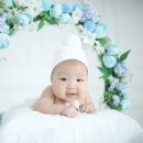 율이베베 네이버블로그