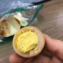 [일상] 구운란을 먹으며 벌크업을 하고 있습니다. (F. 한스팜_짜라란 후기)