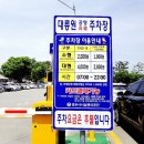 플라비우스 이미지