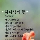 안명섭 Daum카페