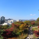 남산공원 이미지