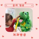 아이온의원 | [귤이 일상] 원주 아이온 가족치과 | 구강검진•새로운 불소도포 후기