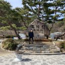 팡팡로또 이미지