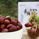 김옥수농장 이미지