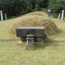 신호 묘 이미지