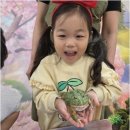 피노키오어린이집 | 아이의 웃음꽃 피어나는 군포어린이집만의 특별한 하루, 부모가 꼭 알아야 할 다양한 체험 수업 이야기