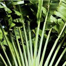 (주)성은건설 | 루멜리 히사르 이스탄불을 지켜낸 거대한 성채의 역사