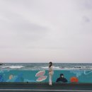 해비치호스텔 | 아침미소목장 / 하도해수욕장 / 종달리엔 / 안돌오름 / 카페 텐저린 / 제주 해비치호텔 / 머체왓 숲길)