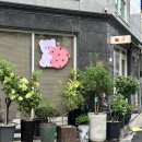 루루당 - 광진구 능동로42길 23 | 군자 카페 추천 디저트 에그타르트 맛집 루루당 후기