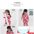 데이클로 이미지