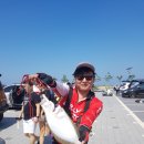 신두리해수욕장 이미지