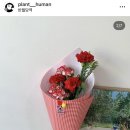 [대구 중구] 센스있고 귀여운 반월당 꽃가게 ‘플랜트휴먼’