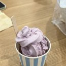 마라공방 이미지