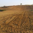 대진목장 이미지