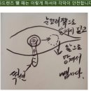 목천안경 이미지