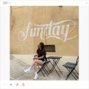 에브리선데이커피(EVERYSUNDAY COFFEE)제주점 | 세종호수공원 근교 조치원커피맛집 [EVERYSUNDAY]