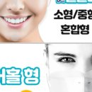 파니투어 이미지