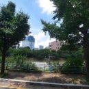 당현천 화장실 이미지