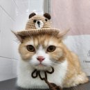 잔다냥 성남점 이미지