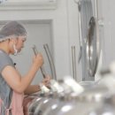 국화농장 이미지