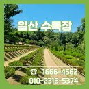 일산수목장 | 일산 수목장 가격 및 비용 상담
