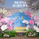 계룡태권도 | 계룡 향적산 봄나들이 축제 다녀온 후기, 벚꽃 만개한 주말 나들이 코스