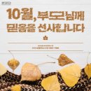 JTA 드림합기도 이미지