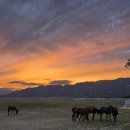 장수목장 이미지