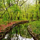 경남함양이은349 이미지