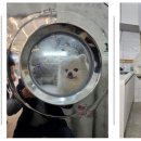 와우동물메디컬센터 이미지