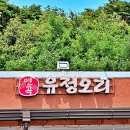 연곡유정오리 이미지
