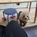 남율셀프세차장 이미지