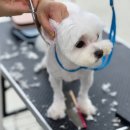 수원-0591 이미지