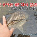이목리 제방 이미지