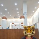 진:담다