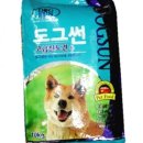 글로벌진돗개 이미지